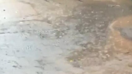 నిజామాబాద్: జిల్లాలో భారీ వర్షం.. స్తంభించిన జన జీవనం