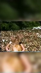 Avant, personne ne chantait dans les concerts... (la conception de We Will Rock You)