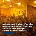Los Mossos desmantelan una 'factoría de marihuana' en El Prat de Llobregat / MOSSOS