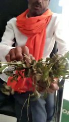 बर्बाद फसल लेकर पत्रिका ऑफिस आया किसान