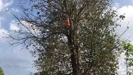 अज्ञात युवक ने लगाया फंदा, मौत