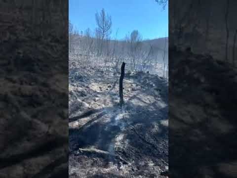 Un incendie parcourt 10 hectares aux Pennes-Mirabeau