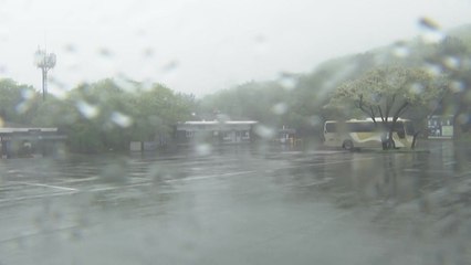 [날씨] 제주도 전역에 호우주의보...불어난 물 주의 / YTN