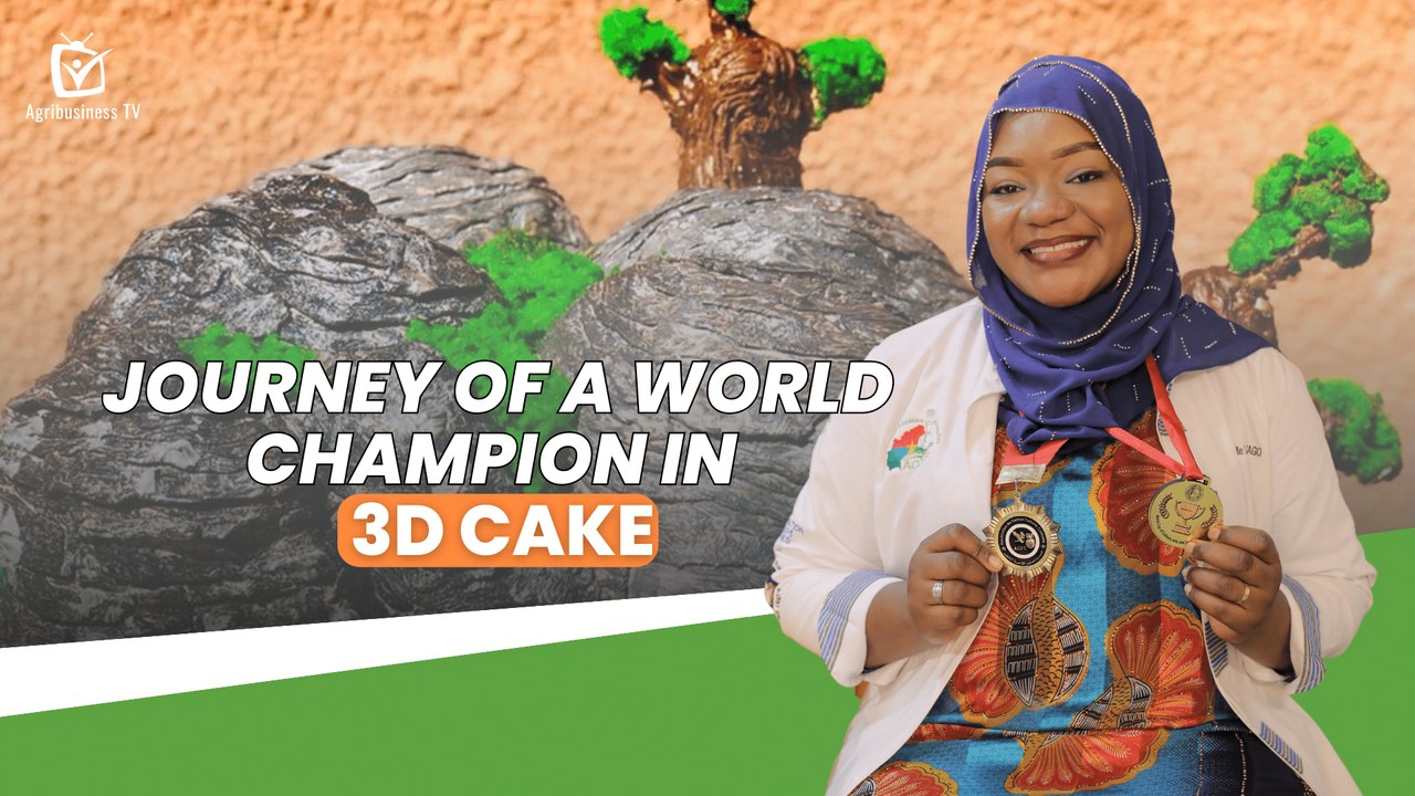 Burkina Faso: Journey of a world champion in 3D cake