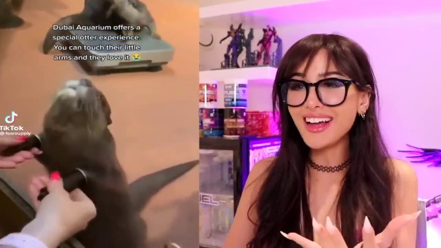 Wholesome Tik Toks That Will Make Your Day