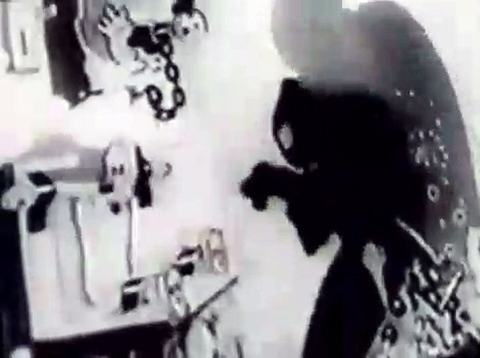 Mickey Mouse Sound Cartoons (1933) - Mad Doctor
