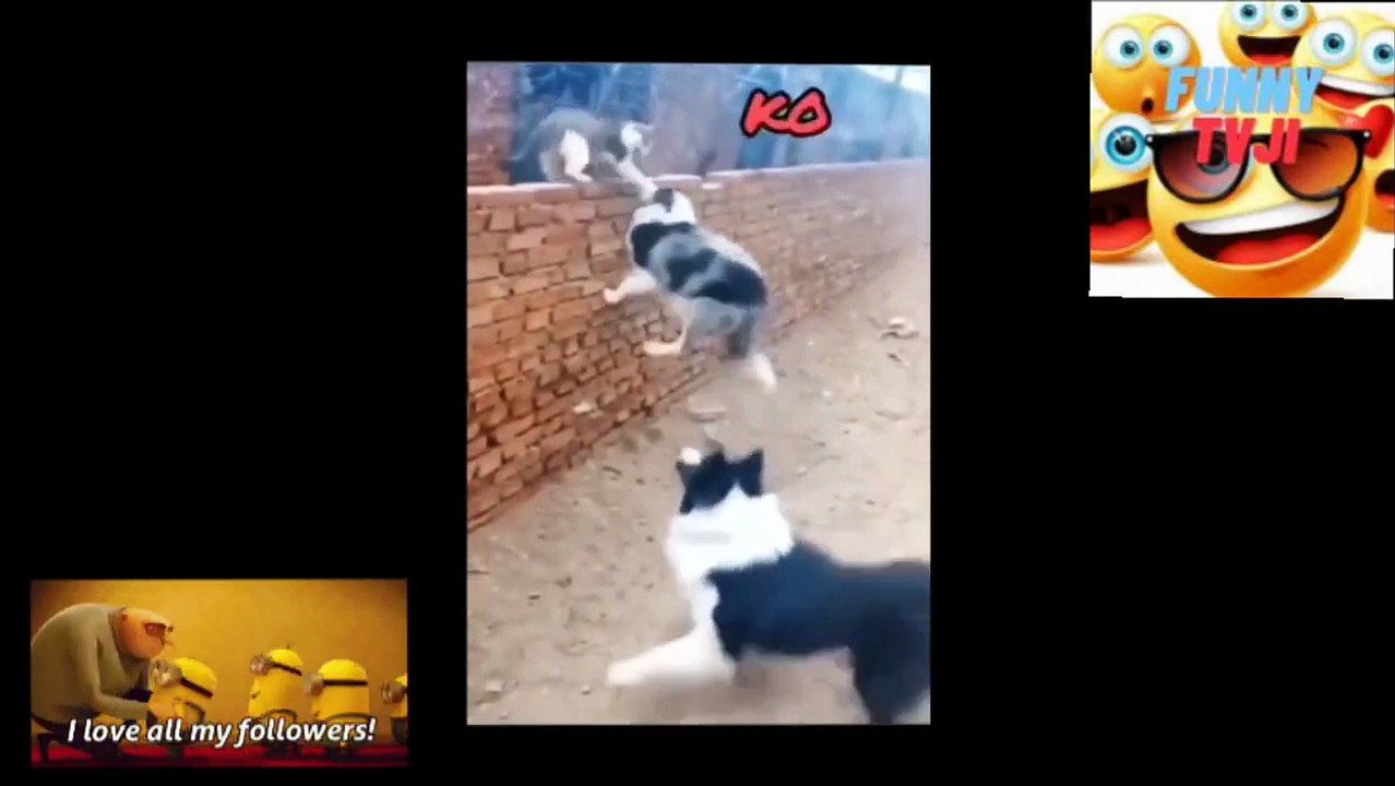 SUPER CRAZY ANIMALS 5