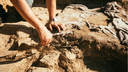 La découverte de fossiles vieux de 2 milliards d'années bouleverse les origines de la vie sur Terre