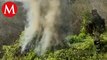 Sedena decomisa y destruye ocho toneladas de mariguana en Michoacán