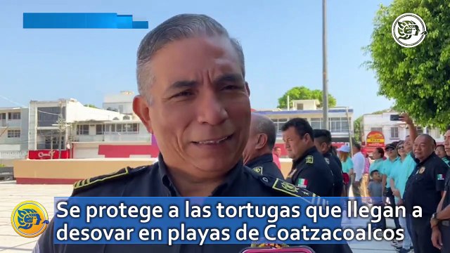 Más de 170 huevos rescatados: Se protege a las tortugas que llegan a desovar en playas de Coatzacoalcos