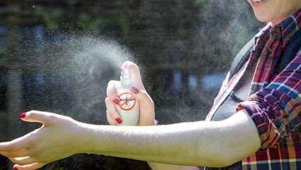 Insektenspray oder ätherische Öle? DAS hilft bei Insektenstichen