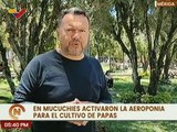 Mérida | Productores del Páramo inician técnica de aeroponía para el cultivo de papas