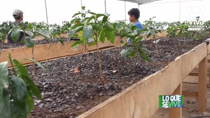 Productores de Café estrenan Centro de Desarrollo Tecnológico