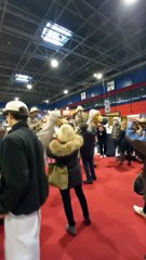 La Foire d'Automne Grenoble à Alpexpo   #France #foiredegrenoble #Alpexpo #foireexpo #foiredefrance  (74)