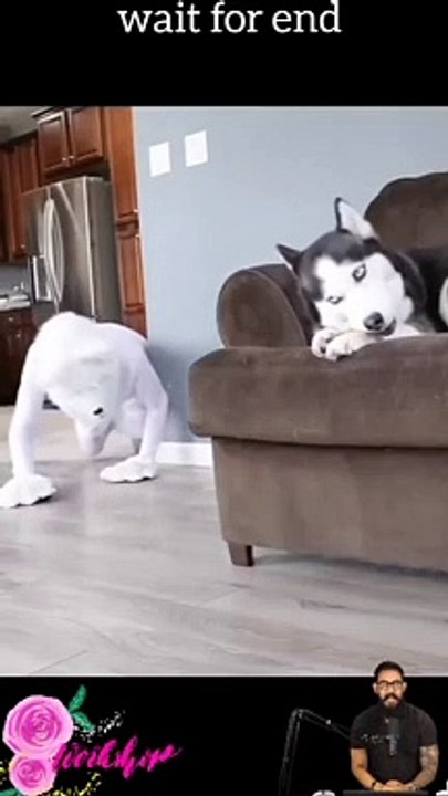 respect #respect #respectshorts #respectvideo #respectreaction #respectmoments #shorts #ytshorts 045 (1)