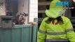 Protecting posties and pooches: Australia Post urging dog owners to be more vigilant