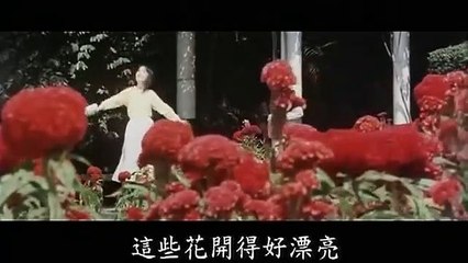 【經典重溫】1980年電影《金盞花》完整版全片欣賞 🌼