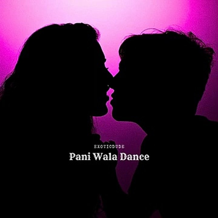 Pani Wala Dance (Slowed and Reverb) - video Dailymotion