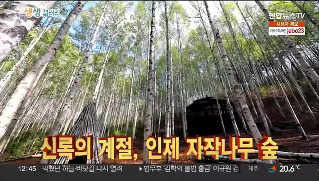 [생생갤러리] 제주 바다서 '서핑보드 인명구조 훈련' 外