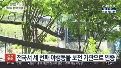 "다시 자연의 품으로…" 동물과 공존 모색하는 청주동물원