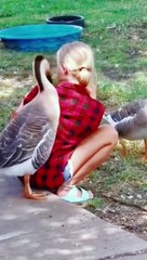 smart duck and girl