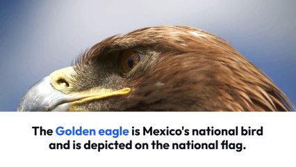 Not Known Factual Statements About Takata airbag recall list