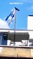 Viral Burung Gagak Copot Bendera Israel yang Terpasang di Tiang