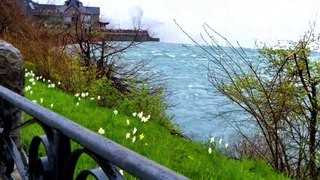 Canada Toronto | Cherry Blossoms | Beautiful Niagara Falls | Spring  in Canada