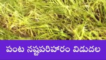 సూర్యాపేట: గుడ్ న్యూస్.. వారికోసం పరిహారం విడుదల..!