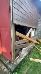 Wuambushu : Six ans de prison ferme pour le chef de bande des violences urbaines de Tsoundzou