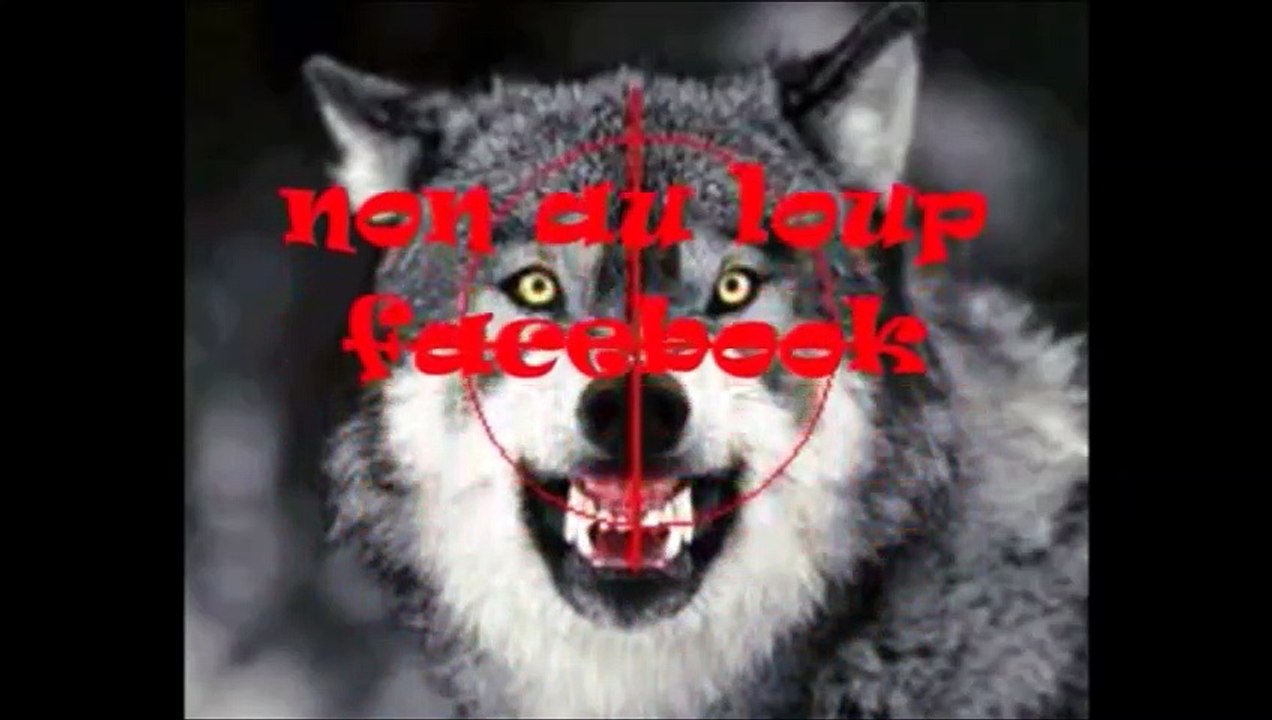 4.La cohabitation avec le loup est elle possible