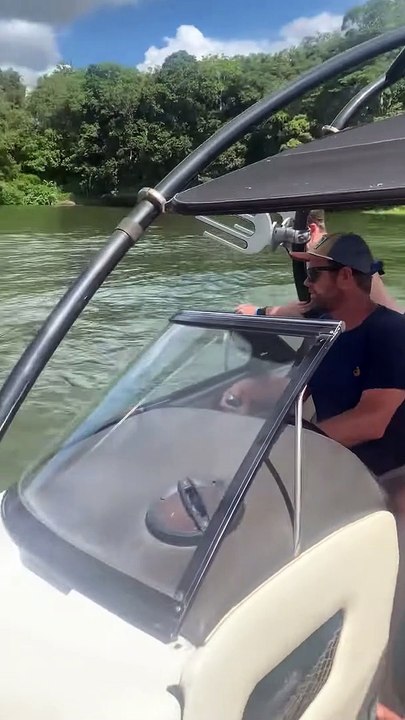 Un groupe d'amis sauve une vache du lac - Buzz Buddy
