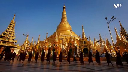 Temporada 1 | show | 2020| S1 | Official Trailer