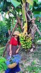 Enjoy beautiful nature with rural life