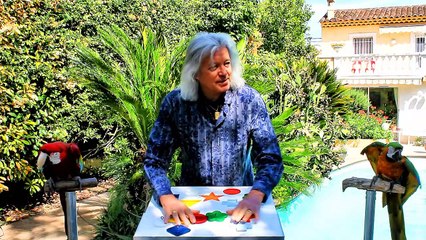 Les aras intelligents résolvent des énigmes - Buzz Buddy