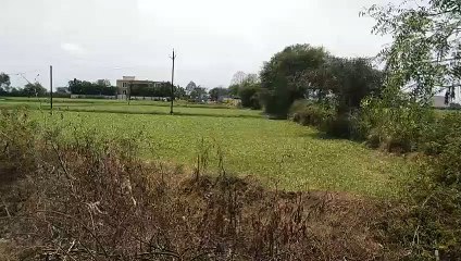 किसानों ने सर्वे कर मुआवजे जल्द देने उठाई आवाज