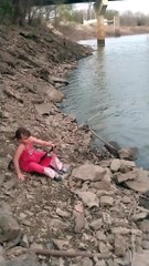 Rally attrape un poisson-chat plus gros qu'elle - Buzz Buddy