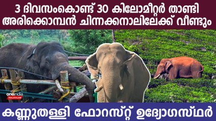 അരിക്കൊമ്പന്‍ ചിന്നക്കനാല്‍ ഭാഗത്തേക്ക് വീണ്ടും നടന്ന് നീങ്ങുന്നു..കണ്ണുതള്ളി വനംവകുപ്പ്