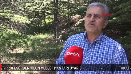 TOKAT-PROFESÖRDEN 'ÖLÜM MELEĞİ' MANTARI UYARISI