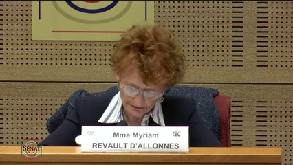 Myriam Revault d'Allonnes : "La démocratie ne se réduit pas à un système politico-juridique"