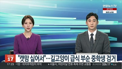"캣맘 싫어서"…길고양이 급식 부순 중학생 검거