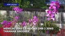 Taman Anggrek Sri Soedewi, Destinasi Wisata Menarik di Jambi