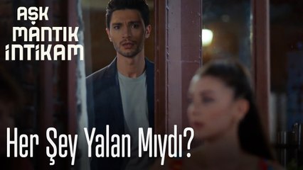 Her şey yalan mıydı - Aşk Mantık İntikam