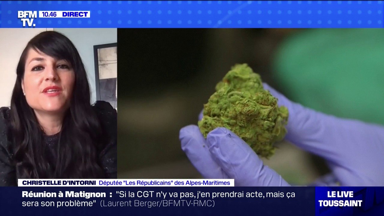 Cannabis: cette députée LR propose notamment de suspendre les allocations aux parents de consommateurs récidivistes