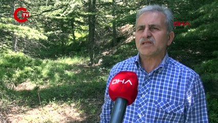 Profesörden 'ölüm meleği' mantarı uyarısı