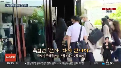 천마총 발굴 50주년…9년 만에 세상에 나온 '천마도'