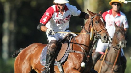 Visitamos Ayala Polo Club en Sotogrande y entrevistamos a su CEO, Antonio Alés