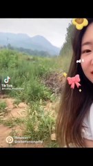 Funny animal's। Cat/dog lover  FLLOW US/like & share #viralpost  #animal #viral