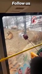 Funny animal's। Cat/dog lover  FLLOW US/like & share #viralpost  #animal #viral