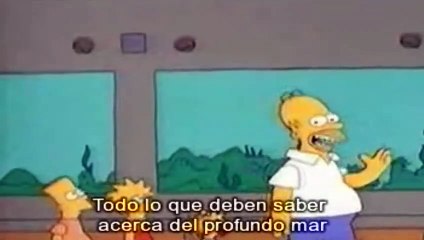 Los Simpsons - Temporada 0 - Cap 24
